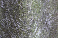 Kingsbury Episcopi fibreglass roof work